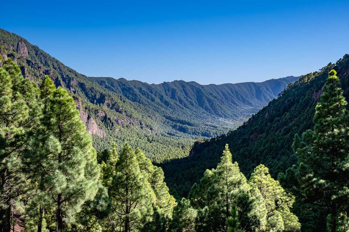 LaPalma23_NZ6_8599.jpg