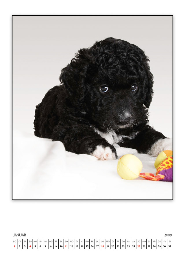 lasseKalender2009 Seite 02