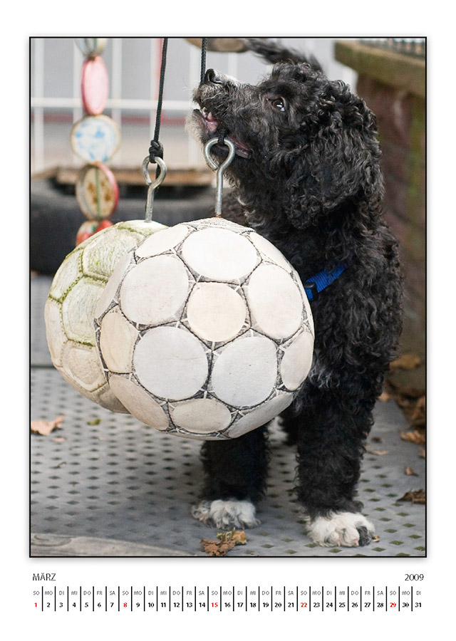 lasseKalender2009 Seite 04