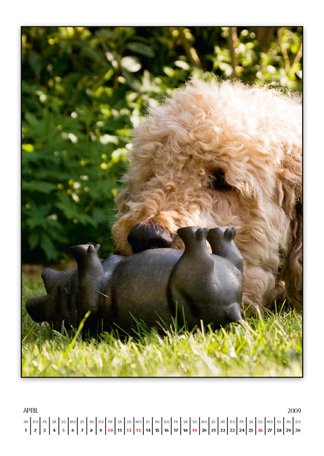 lasseKalender2009 Seite 05
