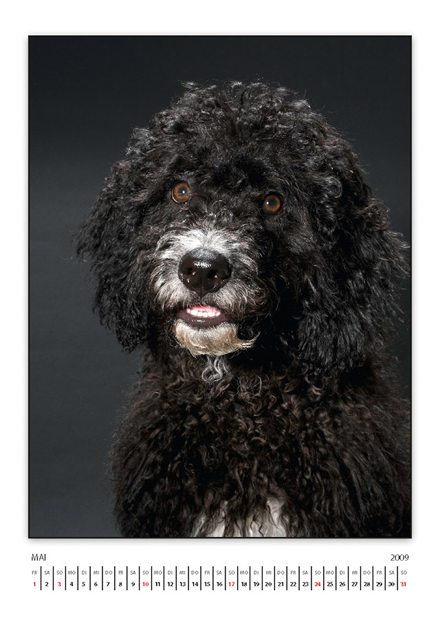 lasseKalender2009 Seite 06