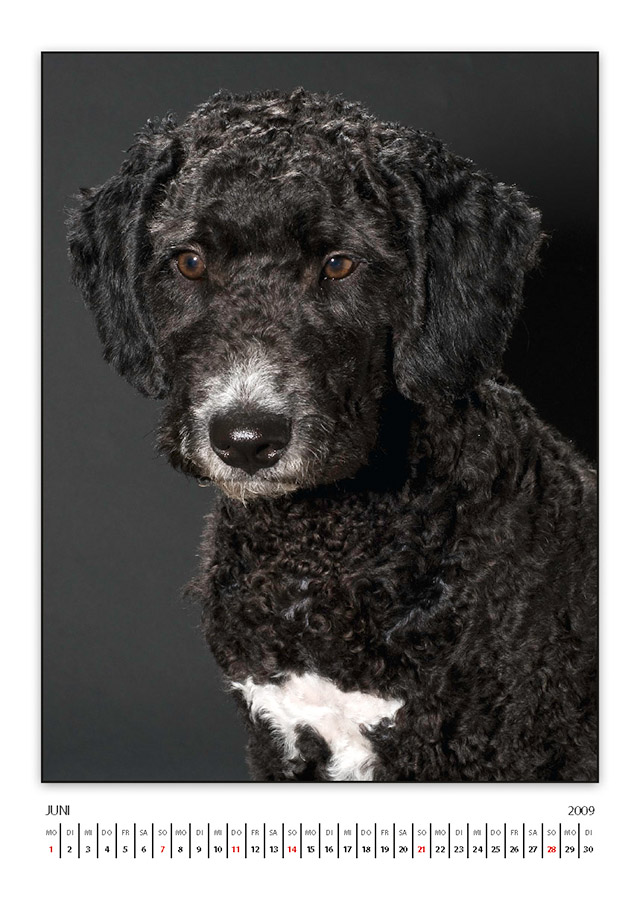 lasseKalender2009 Seite 07