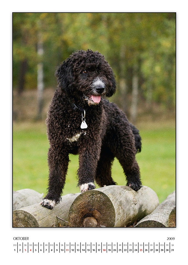 lasseKalender2009 Seite 11
