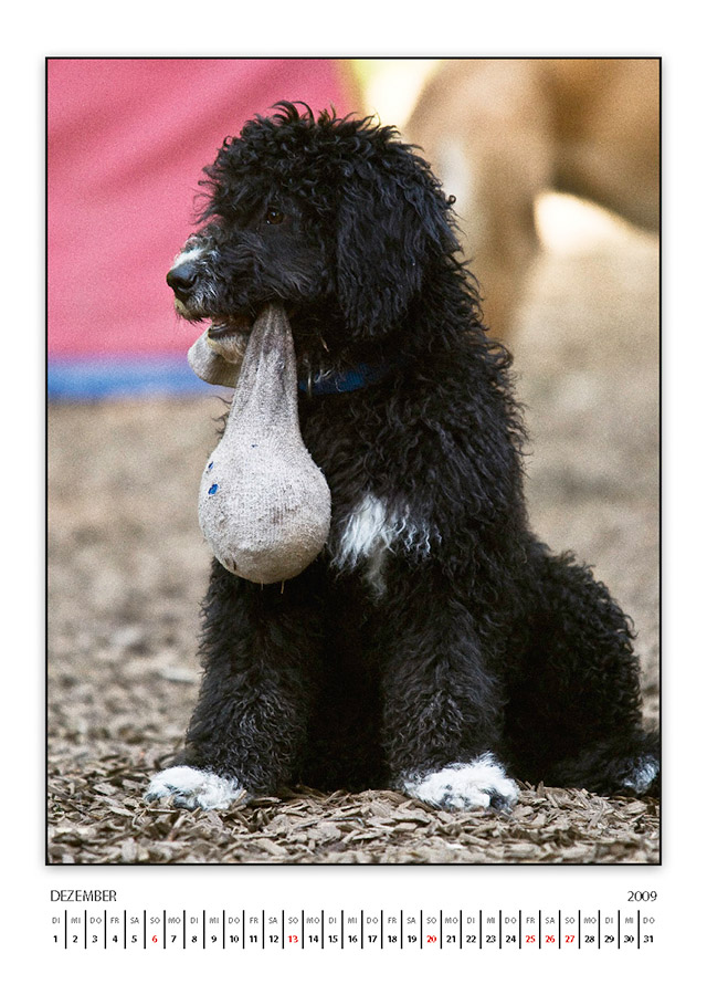lasseKalender2009 Seite 13