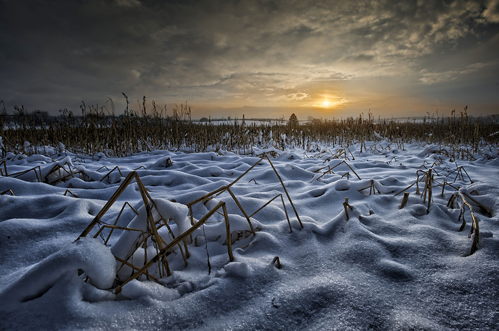 last sunrays small