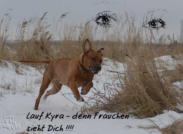 Lauf Kyra Frauchen sieht dich