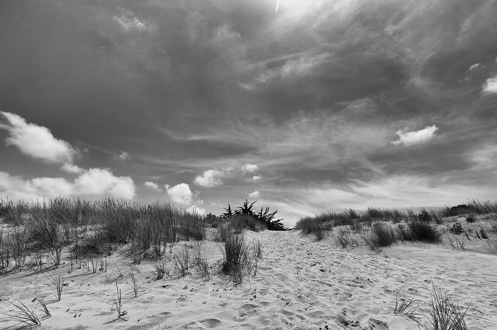 Le Verdon 133 DxO