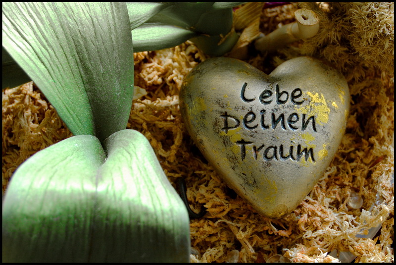 Lebe deinen Traum