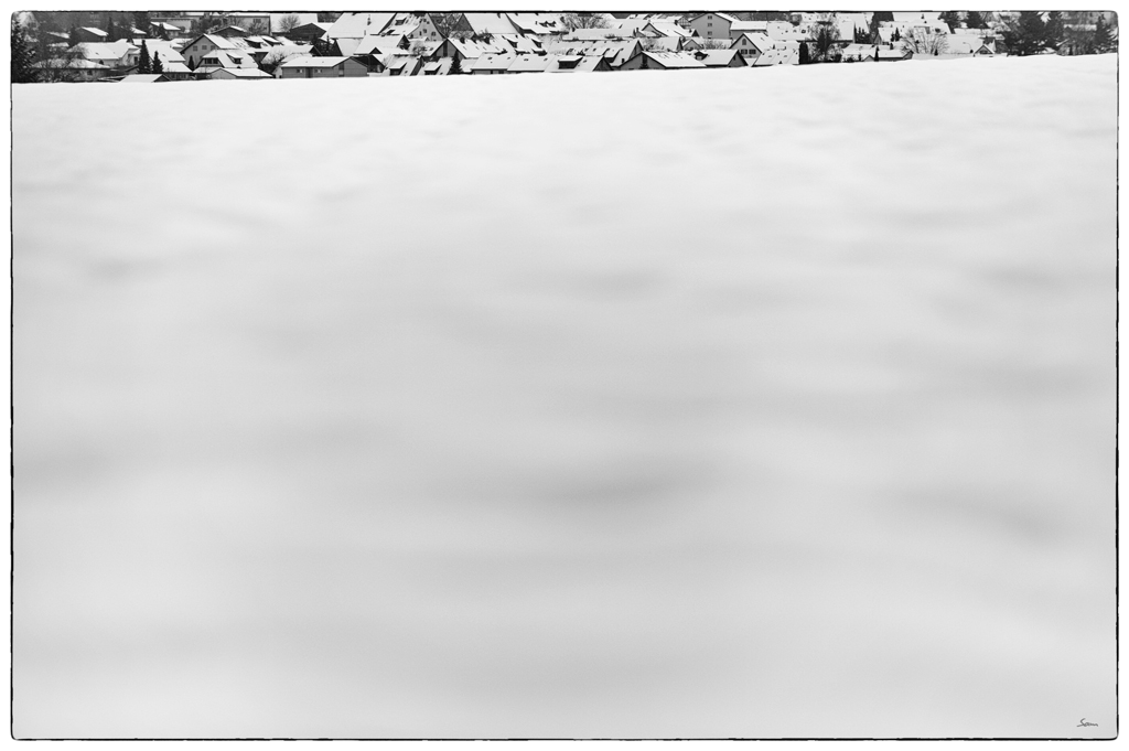 LebenDSC 7857
