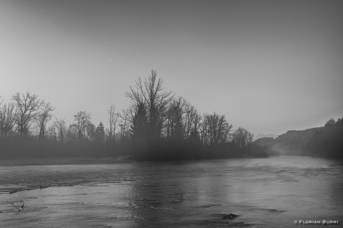 Leichter Nebel an der Aare.jpg