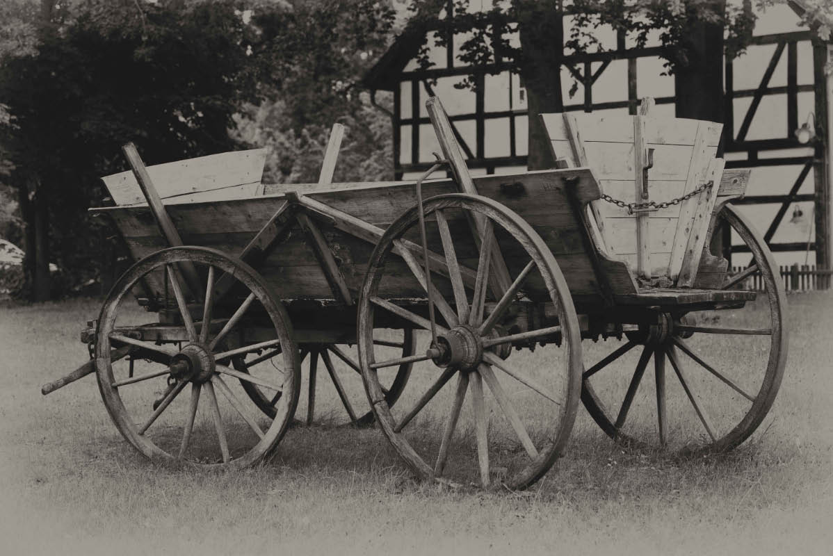 Leiterwagen BW.jpg
