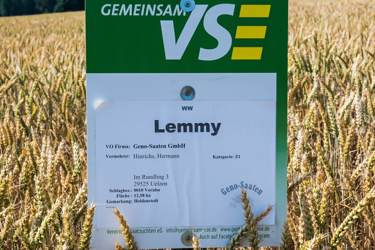Lemmy (1 von 1).jpg