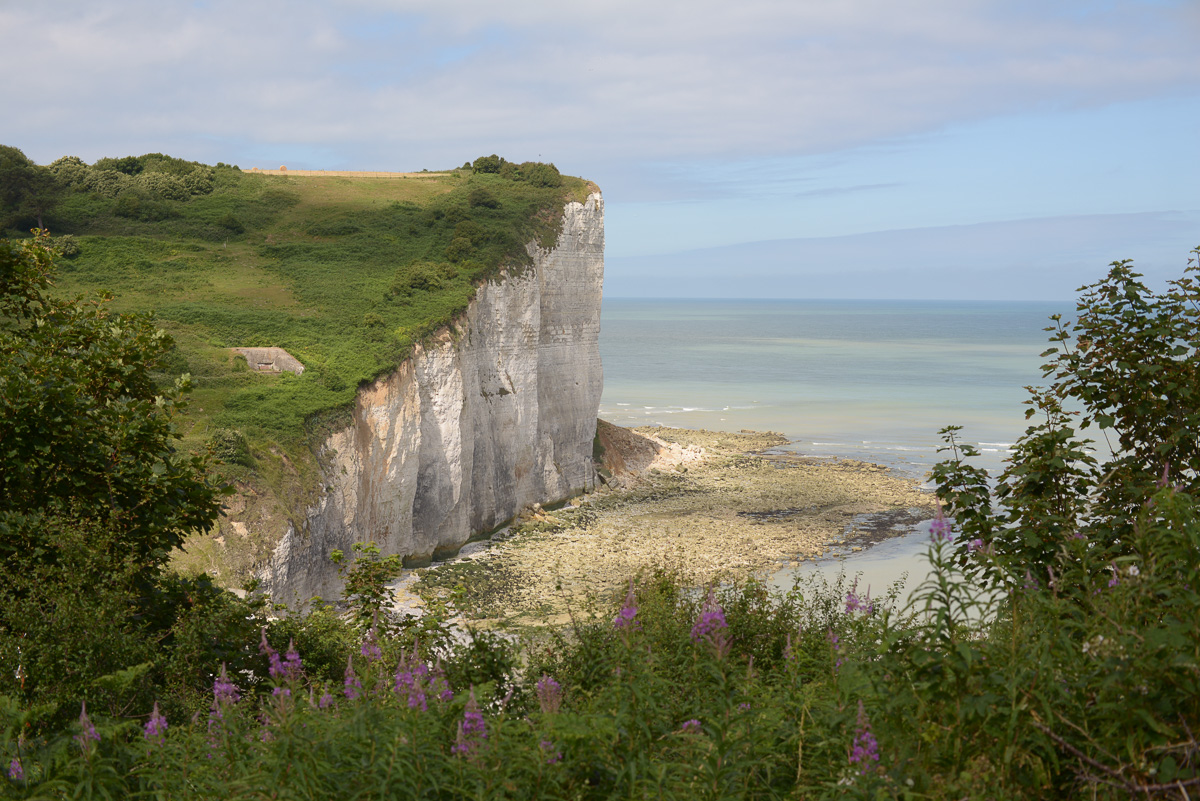 Les falaises, Haute Normandie