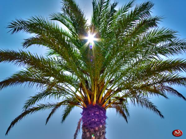 Let the Sunshine