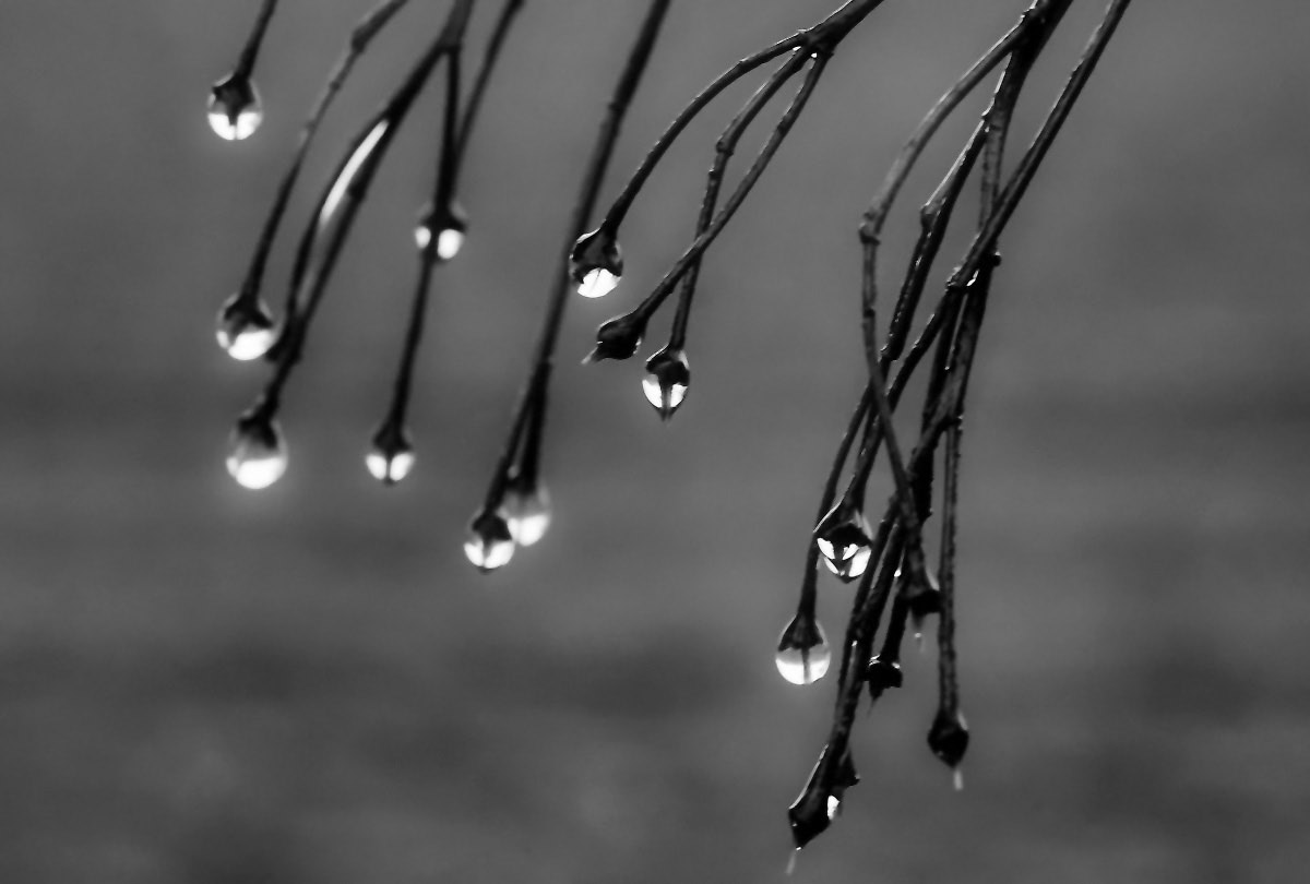 leuchtende Tropfen BW.jpg