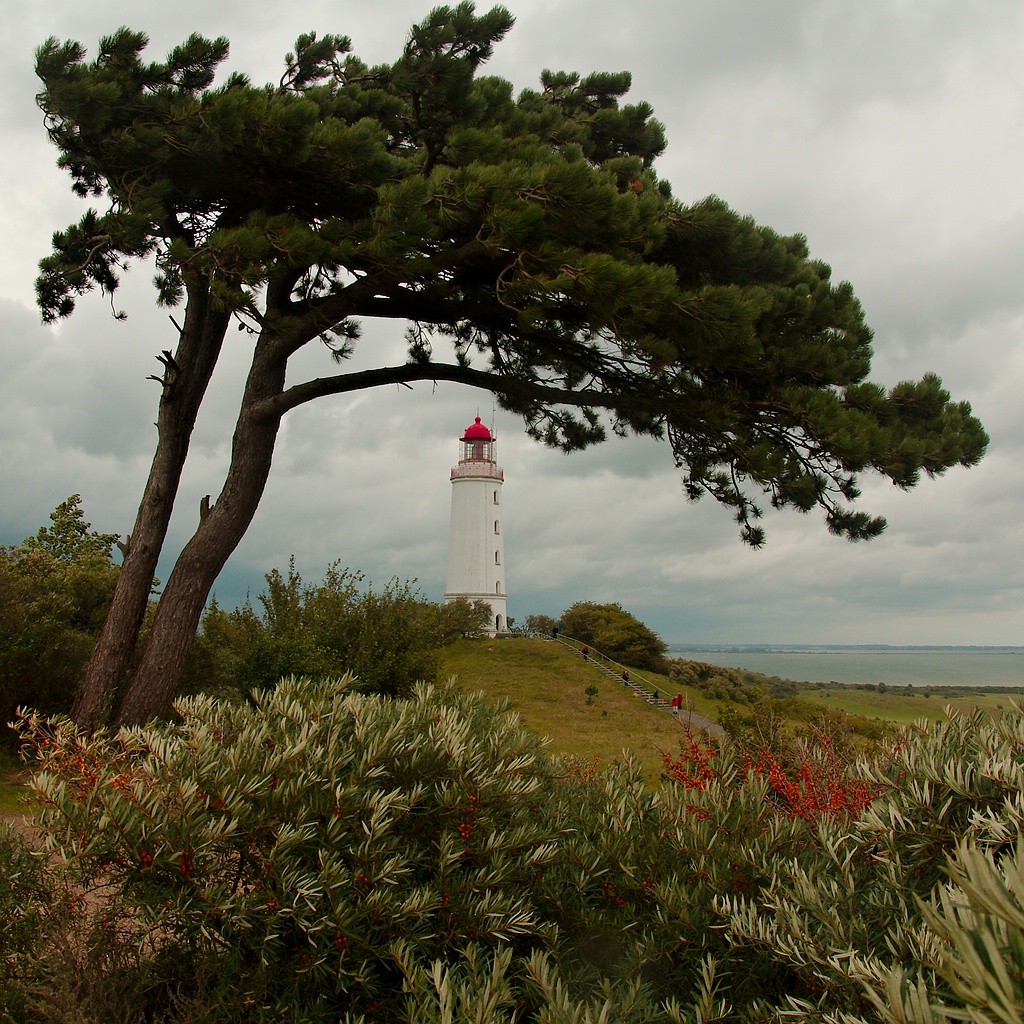 Leuchtturm Hiddensee