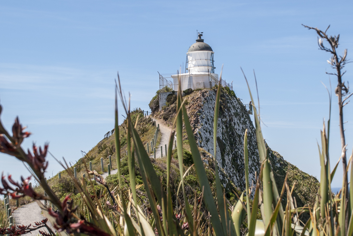 Leuchtturm Nugget Point
