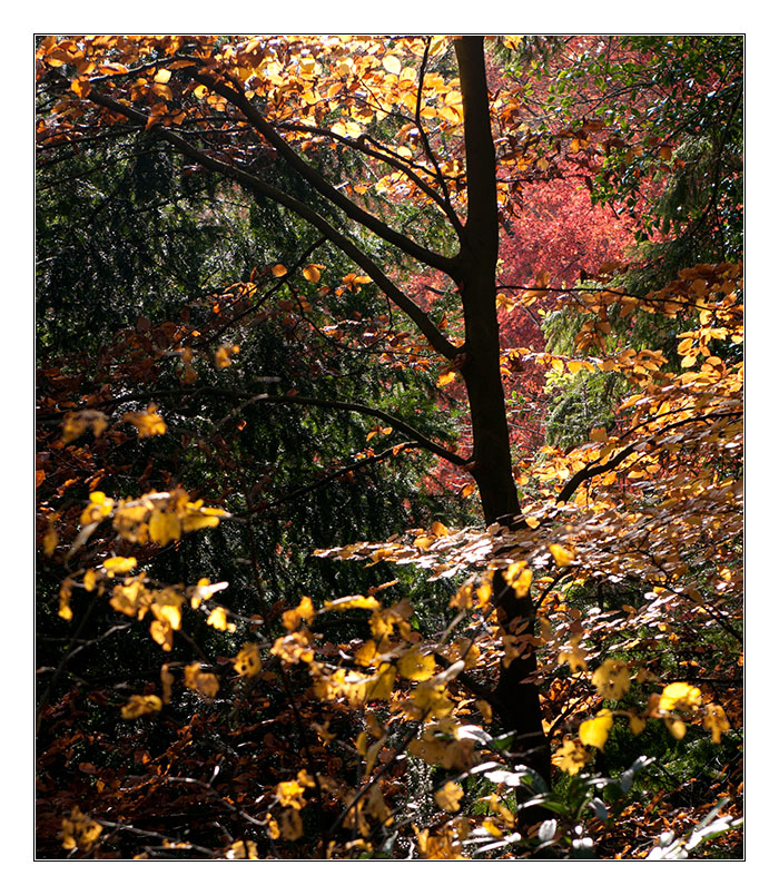 Licht 1