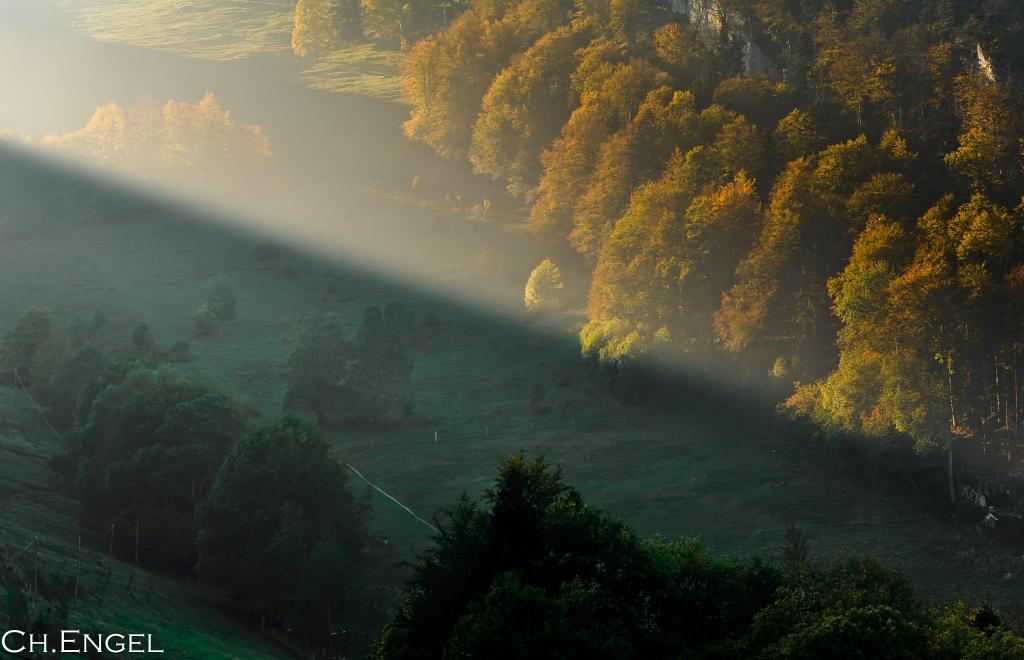 Licht &amp; Schatten