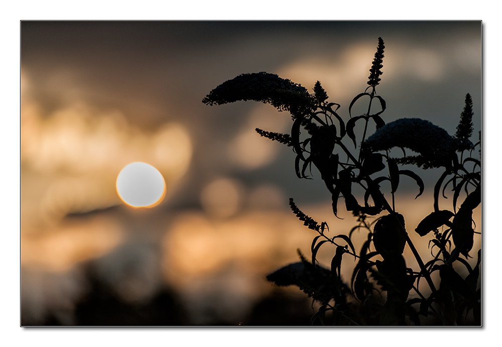 Licht Schatten