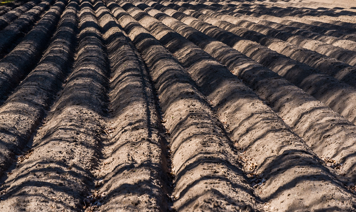 Licht und Schatten (1 von 1).jpg