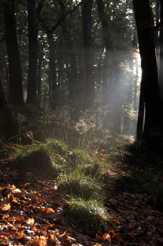 Licht und Schatten 1