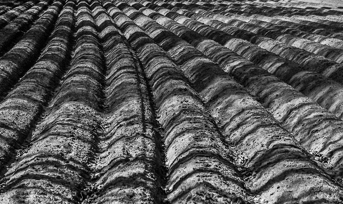 Licht und Schatten BW (1 von 1).jpg