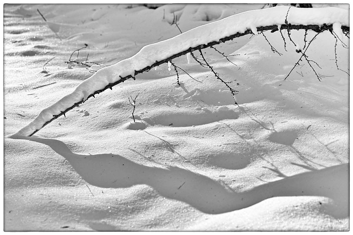 Licht und Schatten_BW.jpg