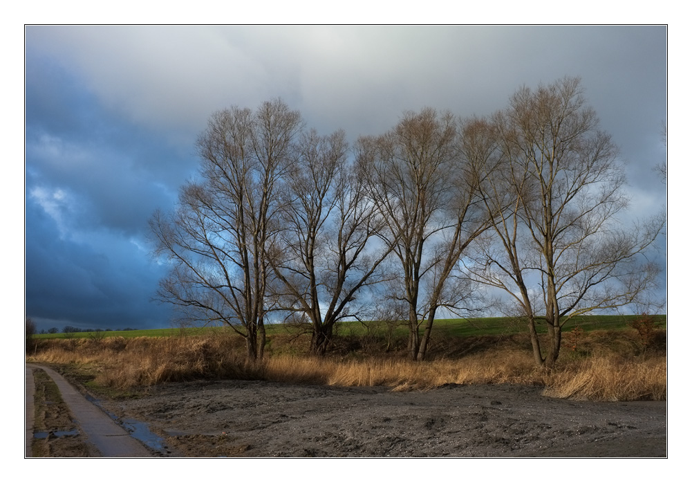 Licht