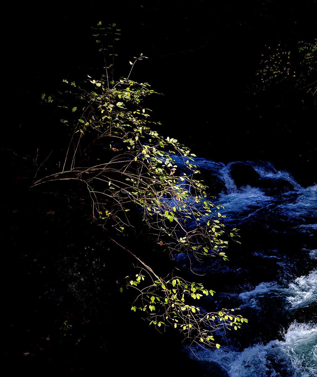 Licht_FAA0142_12.jpg