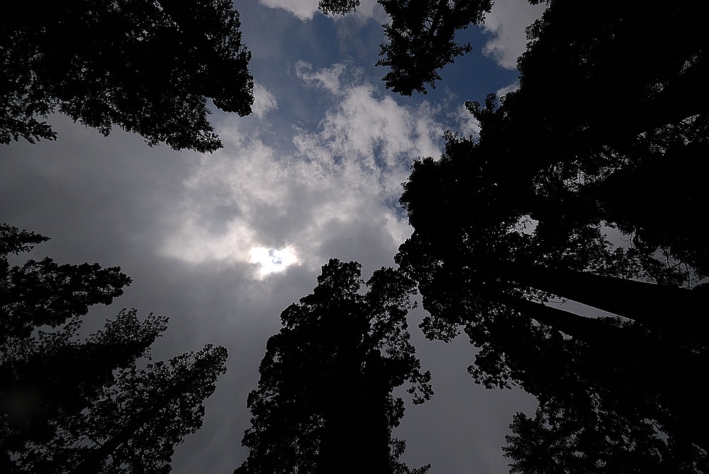 Lichtblick Yosemite