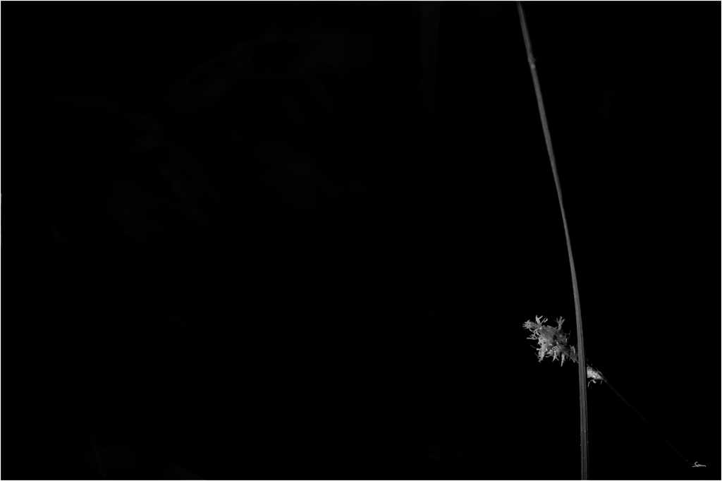 LichtDSC 0233