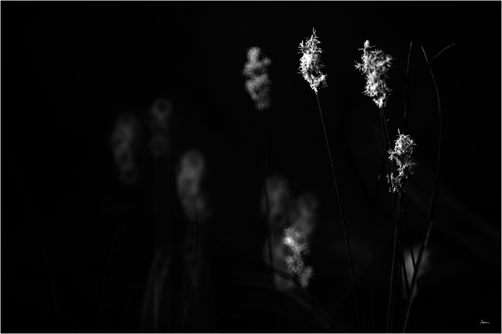 LichtDSC 0234