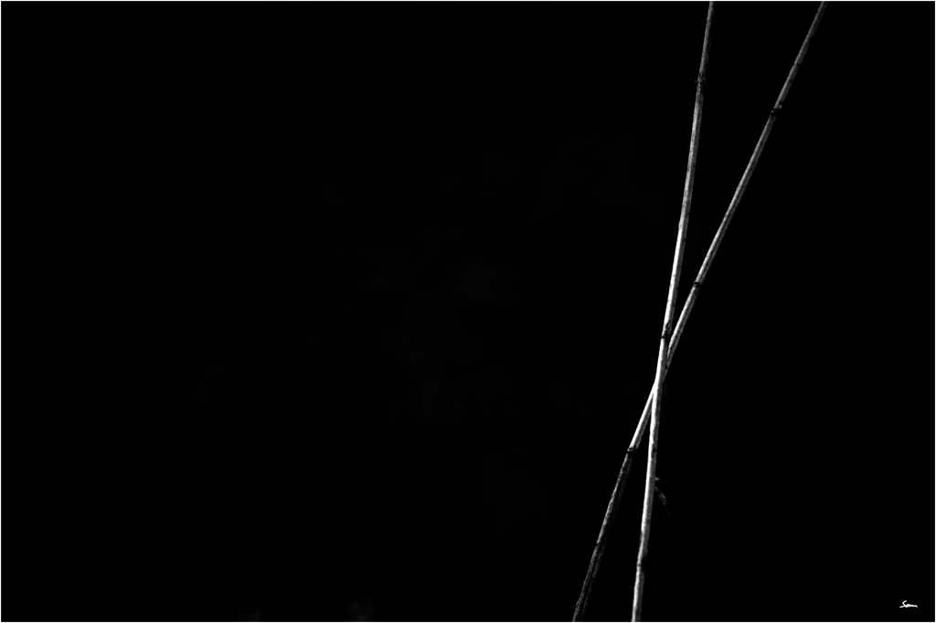 LichtDSC 0237