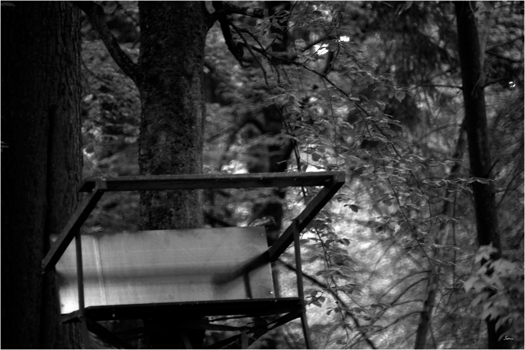LichtDSC 0240