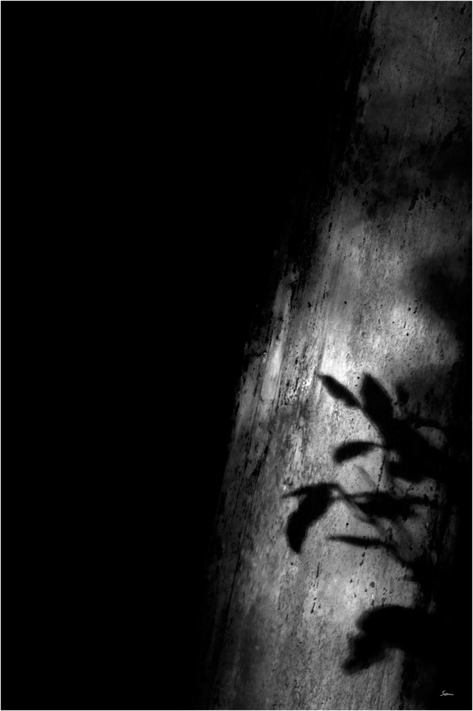 LichtDSC 0250