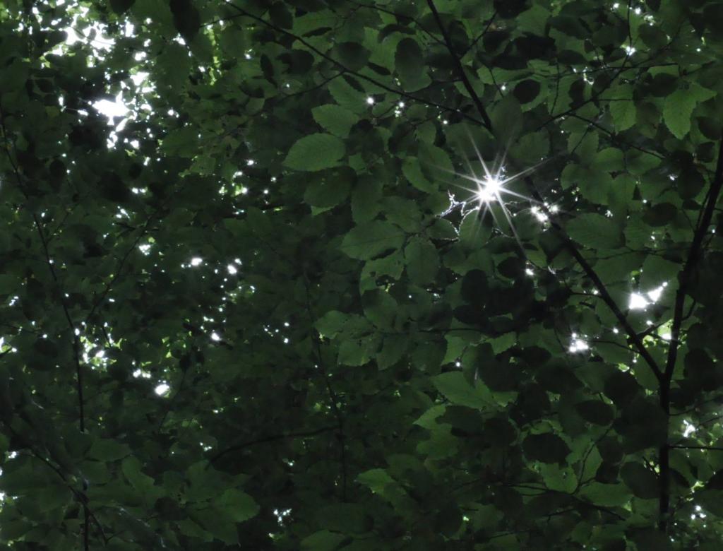 lichtpunkt