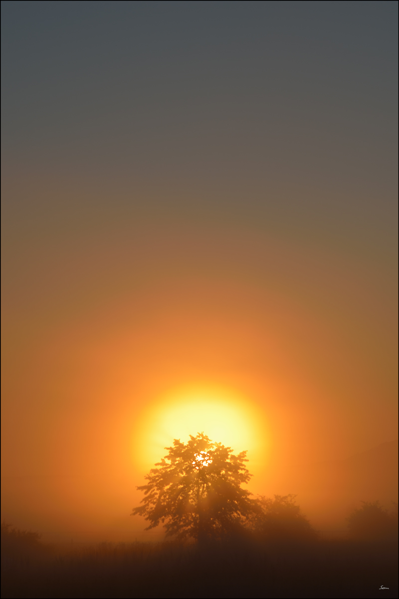 LichtPZ1 4965