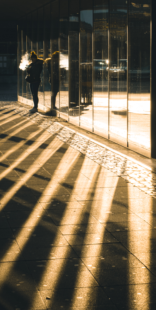 Lichtspiel am Höfchen