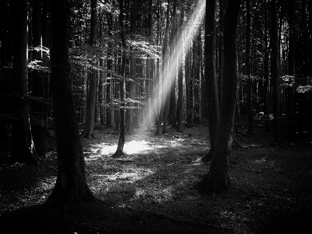 Lichtstrahl