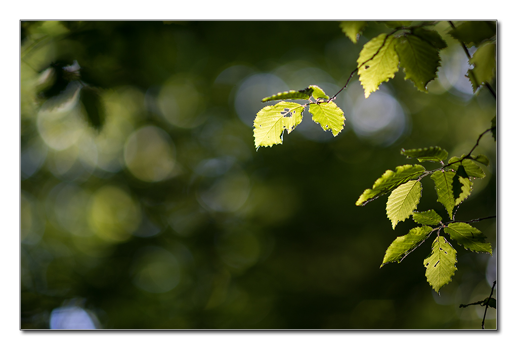 lighning2