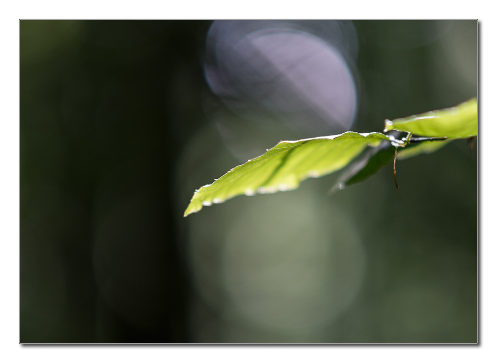 lighning5