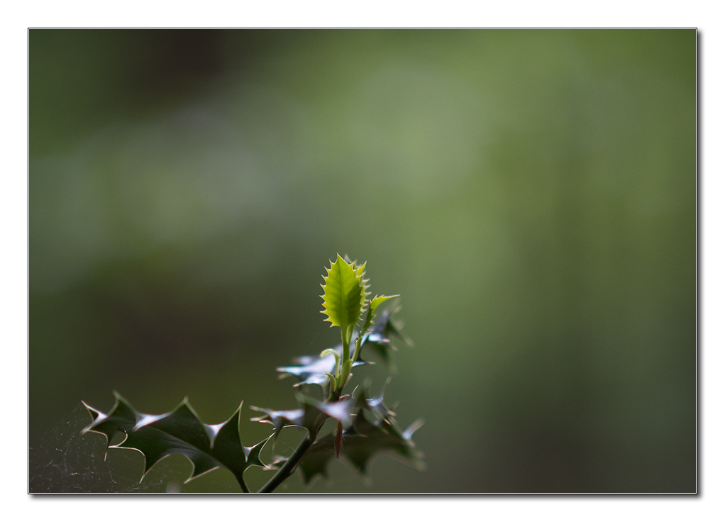 lighning6