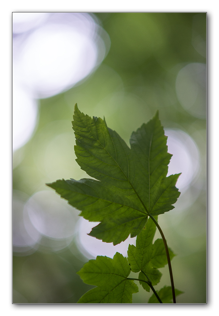 lighning7