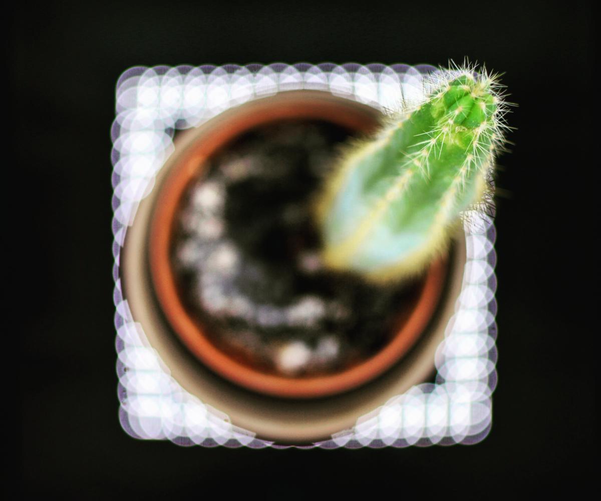 Lightbox