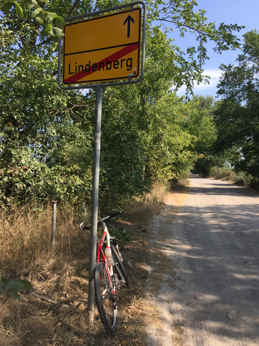 lind.JPG