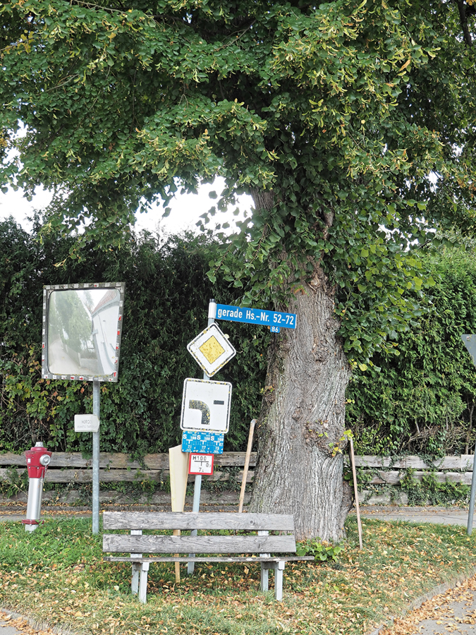 Lindenbank.jpg