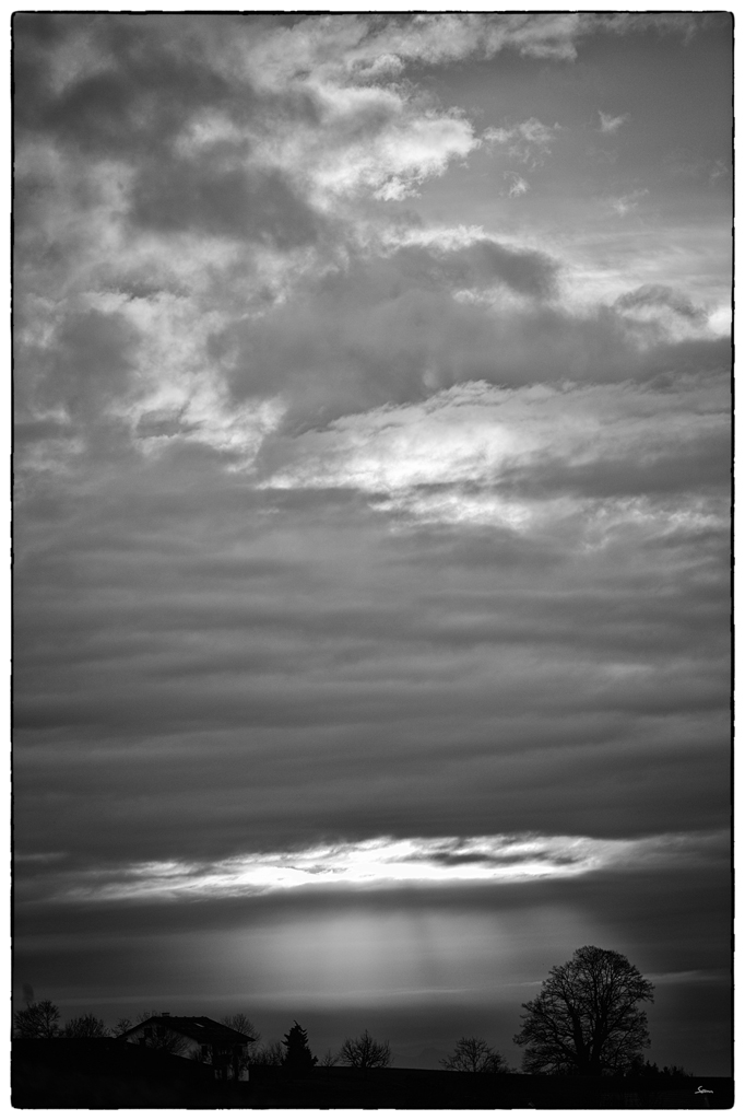 LinnPZ1 0454