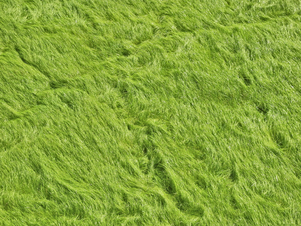 lippe04.jpg