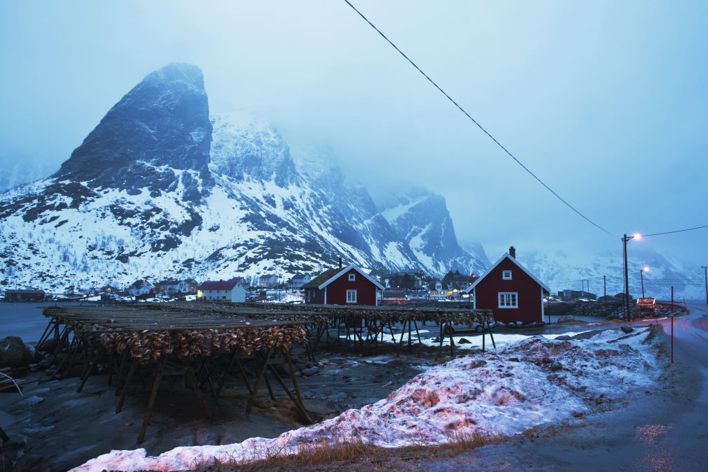 Lofoten 1055